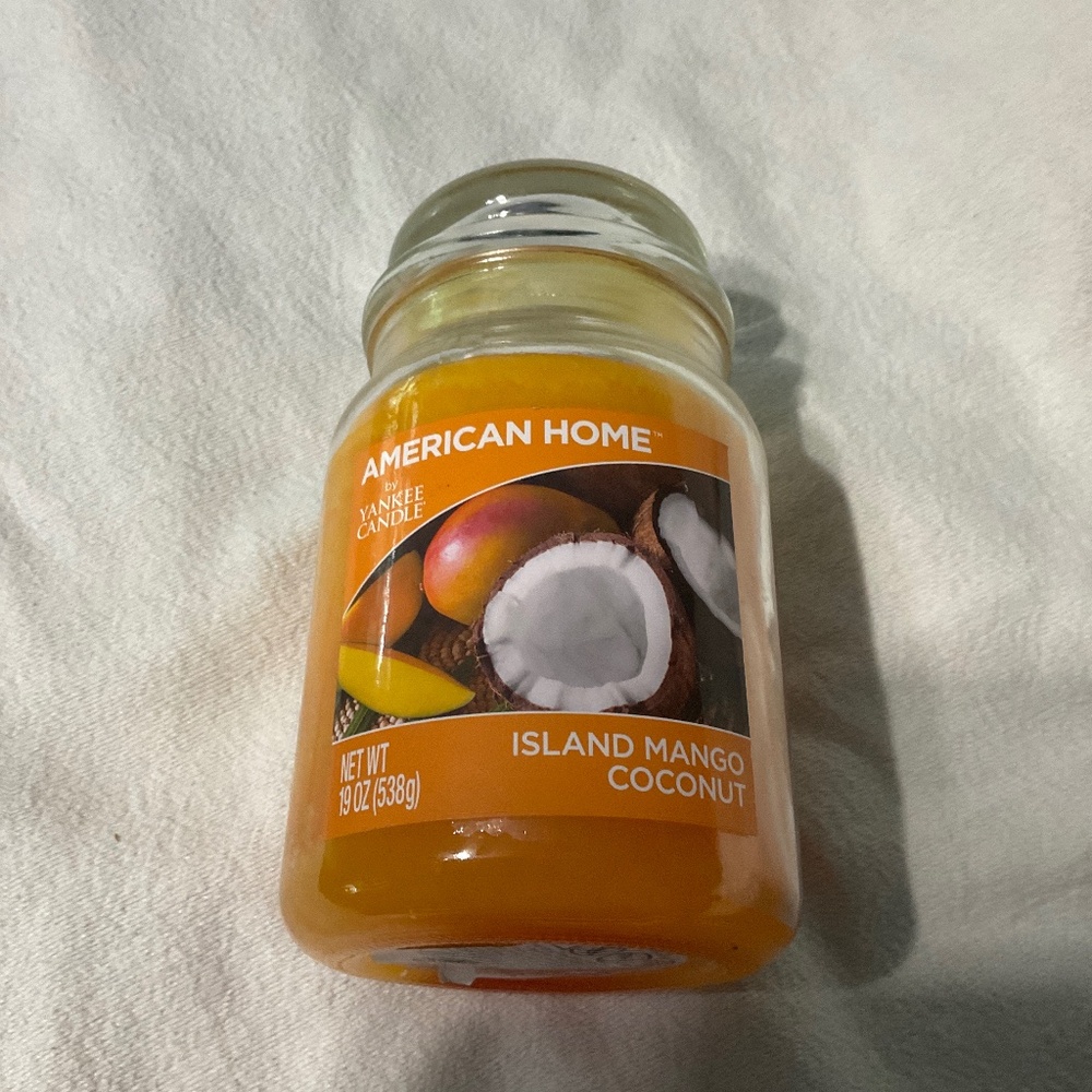 American Home Candle by Yankee Candle 19 oz. H188